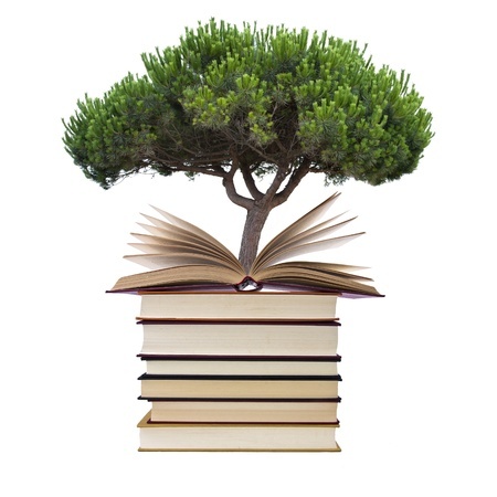 Tree growing out of books